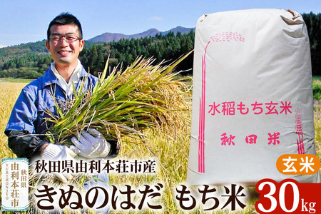 【もち米】30kg 秋田県由利本荘市産 きぬのはだ【玄米】五平農園