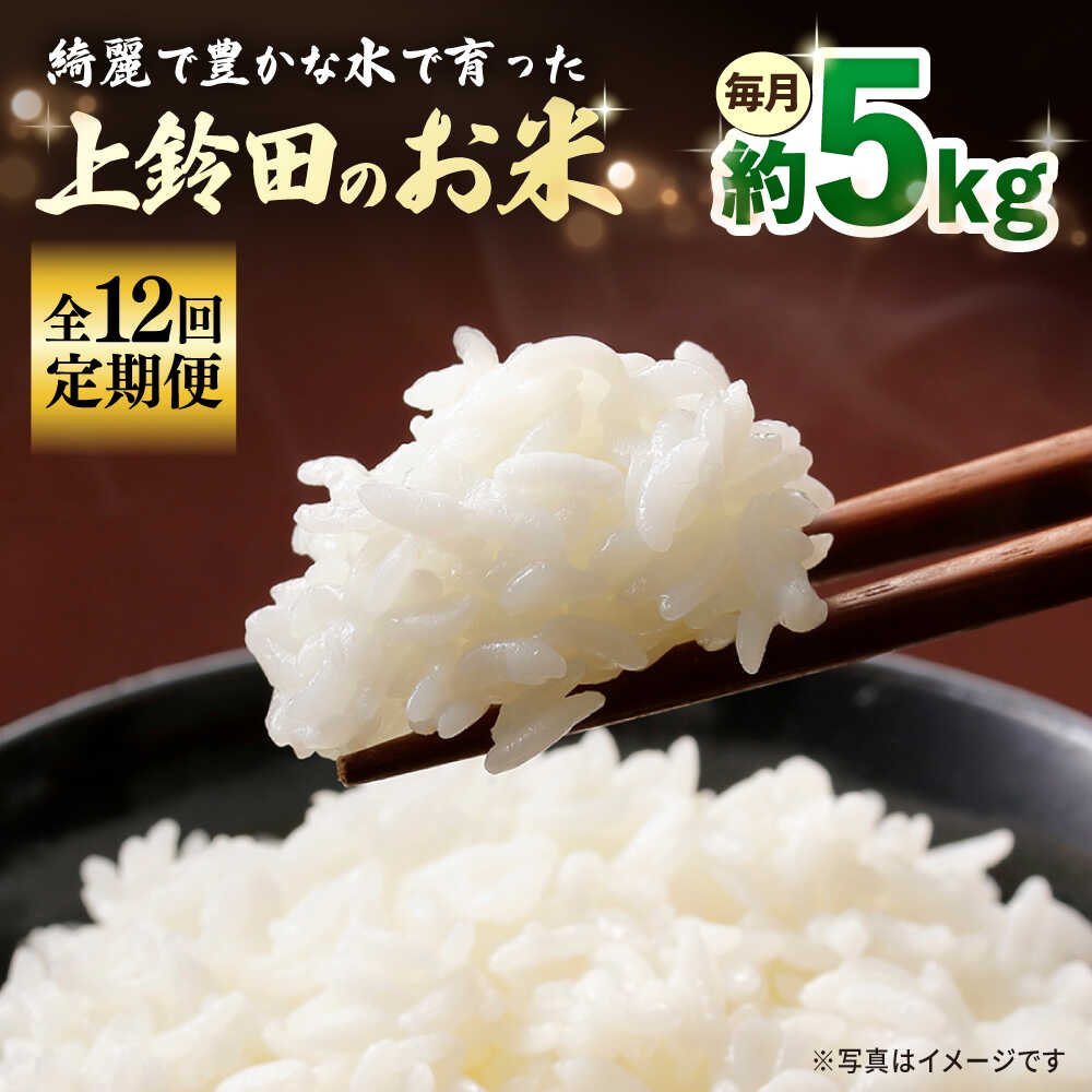 【ふるさと納税】【全12回定期便】上鈴田のお米 5kg 白米 米 長崎県産 大村市 鈴田峠農園[ACAJ010]