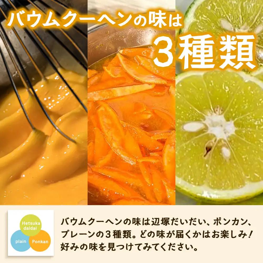 【訳あり】焼き菓子詰め合わせセット ランダム 4個入り SH-2 | バウムクーヘン バームクーヘン 菓子 おかし 焼き菓子 詰め合わせ スイーツ デザート カットバウム ラスク クッキー 食品 訳あ