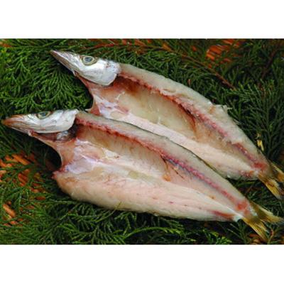 ふるさと納税 沼津市 新6種類2枚ずつ12枚セット |  | 02