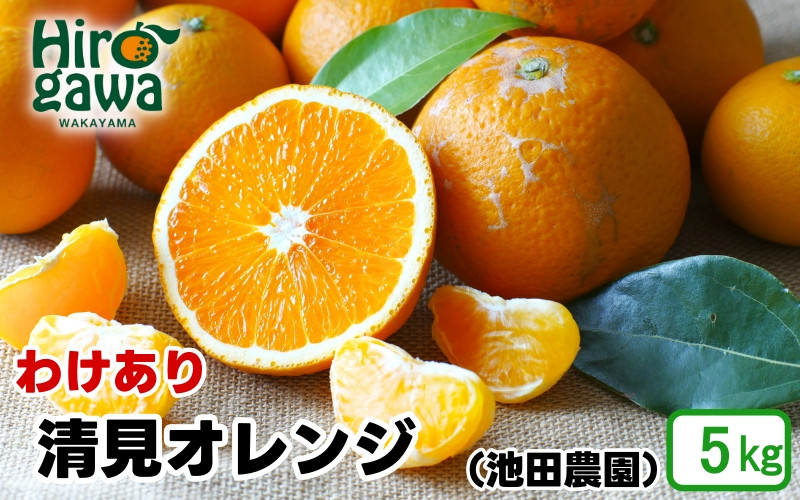 
            清見 オレンジ 家庭用 5kg+250g（痛み補償分） 光センサー / 訳あり 清見オレンジ 清見タンゴール きよみ 清美 甘い 和歌山 柑橘 ※2月上旬～6月上旬に順次発送 ※北海道・沖縄・離島への配送不可 【ikd011-c-5】
          
