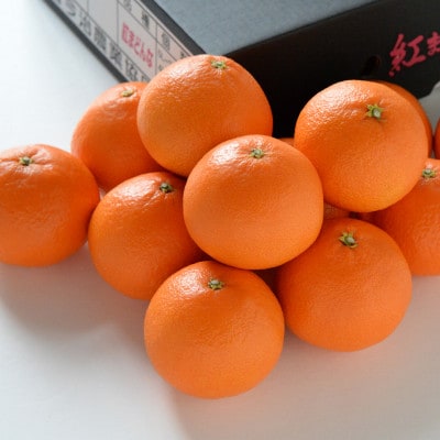 【先行受付】紅まどんな　化粧箱　3L～L　10～15玉　愛媛県　JAおちいまばり