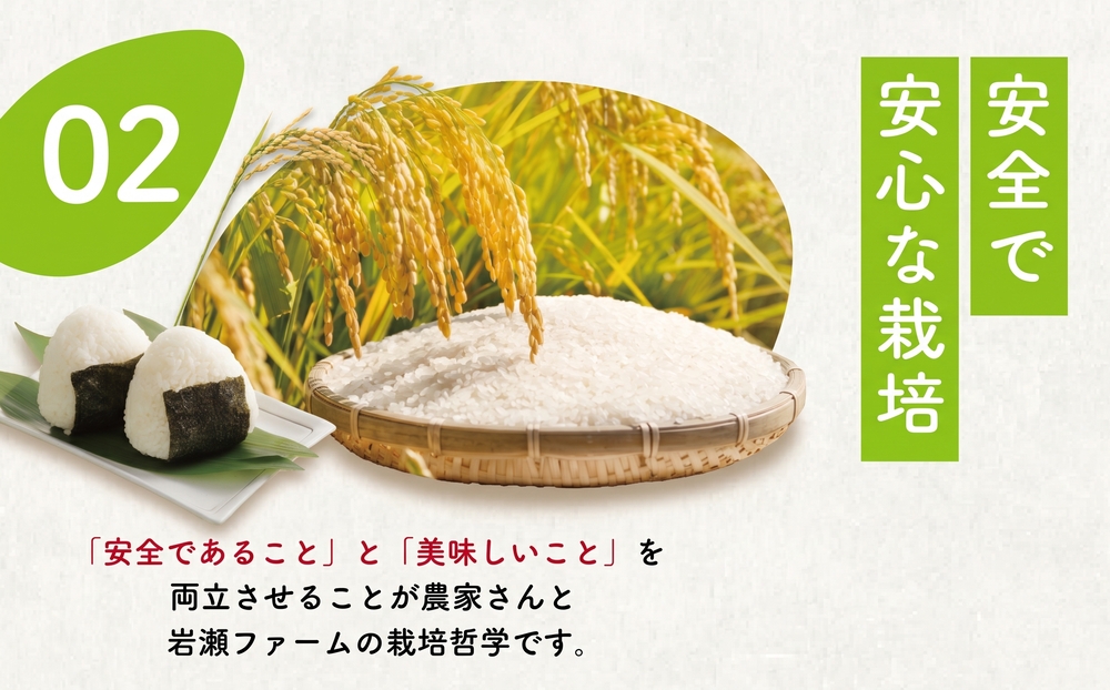 新米 9月配送 【コシヒカリ 10kg】 米 お米 こめ コメ こしひかり 8年度産 