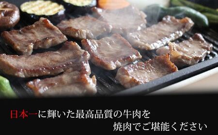きたかみ牛 焼き肉 用 約 2.3㎏（ 750g ×3） 数量限定 A5 A4 人気 肉 牛肉 BBQ お歳暮 忘年会 贈答用 モモ バラ カタ カルビ ミックス 岩手県 北上市 I0038（お肉のた
