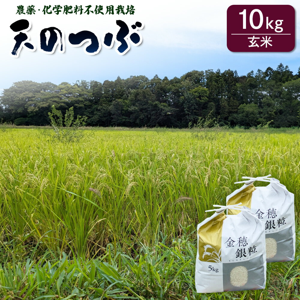 【ふるさと納税】【先行予約】 天のつぶ 玄米 10kg 有機的栽培 令和7年産 | 無農薬 農薬不使用 化学肥料不使用 お米 米 福島産 福島県産 南相馬 みさき未来