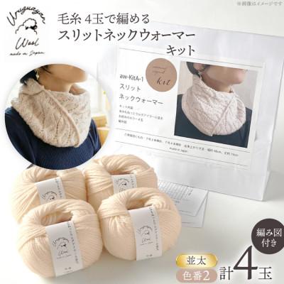 ふるさと納税 江南市 毛糸4玉で編めるスリットネックウォーマーキット 2番色