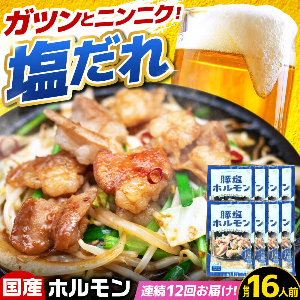 【ふるさと納税】【12回定期便】岐阜県産豚もつの鉄板焼き「元祖みたけとんちゃん」豚塩味（16人前） / モツ もつ 白もつ ホルモン / 御嵩町 / 藤よし[AVAA081]