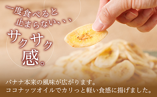厳選バナナチップス【600g】 ドライフルーツ バナナ 乾燥バナナ チップス 健康 おつまみ おやつ 4V1