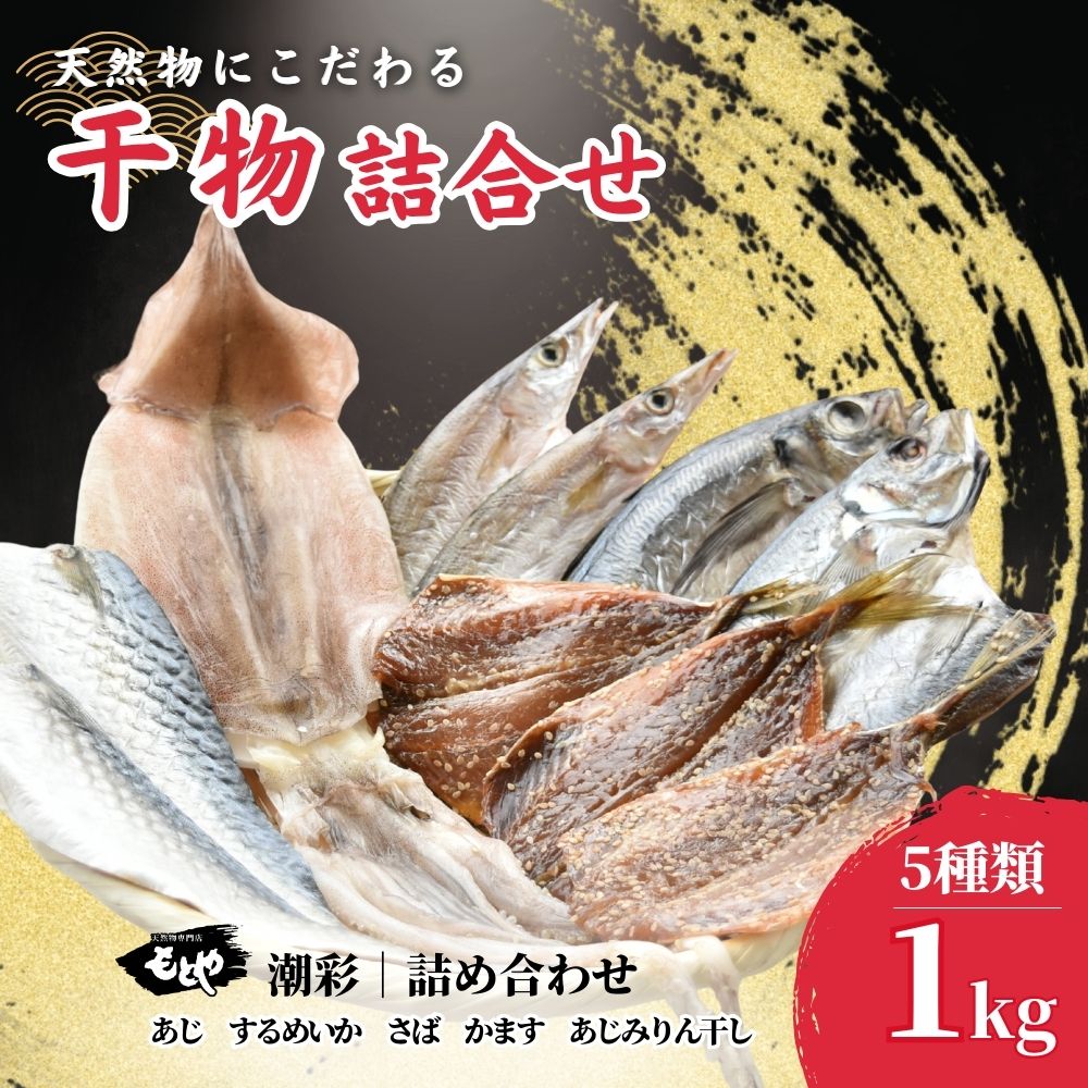 【ふるさと納税】 ひもの詰合せ 5種類セット 1kg 潮彩 | 詰め合わせ 干物 魚 あじ するめいか さば かます あじみりん干し セット 添加物不使用
