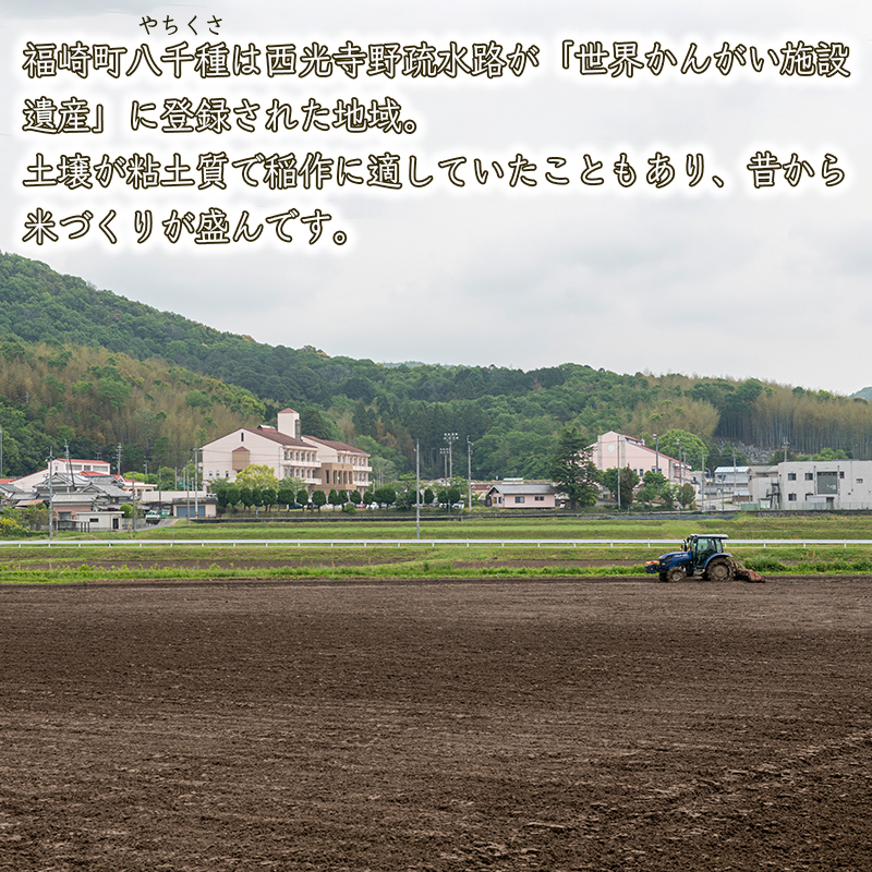 【精米】令和7年産 ヒノヒカリ 八千種米 お米 30kg ごはん 兵庫県産 世界かんがい施設遺産登録『西光寺野疏水路』