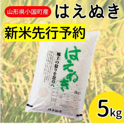 【ふるさと納税】【令和8年産米先行予約】山形県小国町産　はえぬき5kg　小国米穀商業協同組合【1503913】