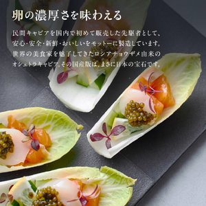 国産 キャビア オシェトラキャビア 60g 皇帝の涙 国産 チョウザメ 魚卵 宮崎県 小林市