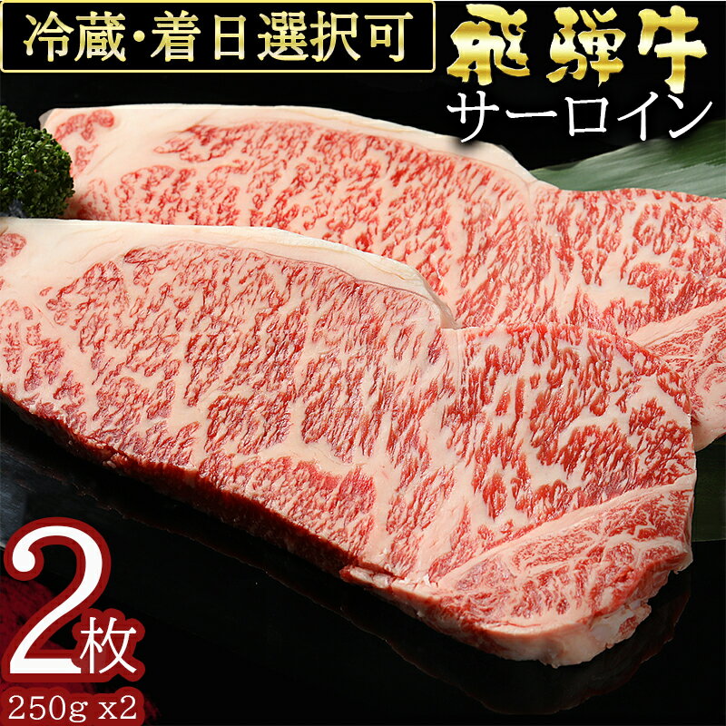 【ふるさと納税】 飛騨牛 サーロイン ステーキ（250g×2枚）冷蔵 A5 霜降り 黒毛和牛 和牛 牛肉 肉 ステーキ用 父の日 お中元 暑中見舞い プレゼント ギフト 贈り物 日付指定 時間指定 y14-39 送料無料