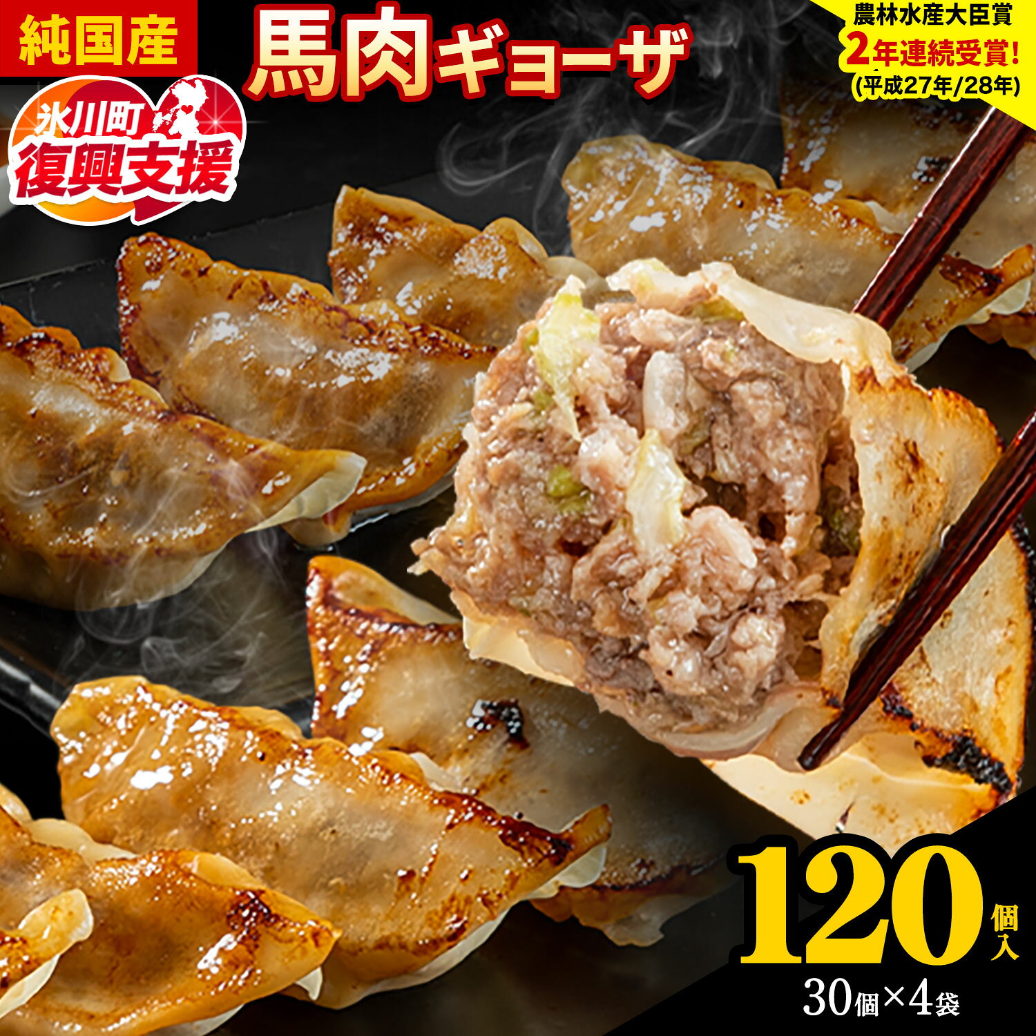 【ふるさと納税】【R8熊本地震復興支援】馬肉 餃子 ギョーザ 120個 30個 × 4袋《30日以内に出荷予定(土日祝除く)》熊本県 荒尾市 純国産馬肉 簡易包装 熊本肥育 ぎょうざ 馬