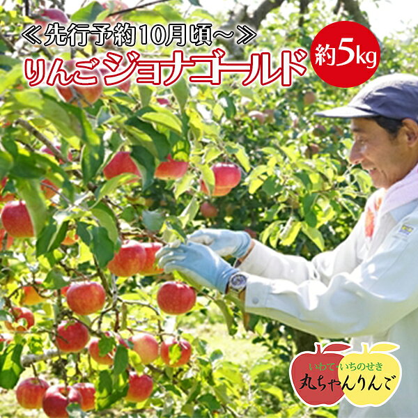 【ふるさと納税】家庭用 りんご ジョナゴールド 約5kg リンゴ 林檎 果物 フルーツ 産直 岩手県 一関市 ≪10月〜順次発送≫