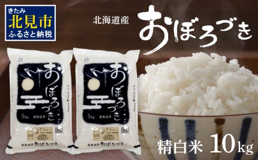 【2026年2月中お届け】令和7年産 おぼろづき 10kg 北海道産 精白米 ( こめ 精米 お米 10キロ HACCP )【080-0093】