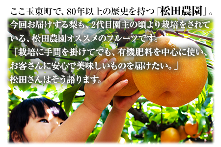 先行予約 くまもと梨 約5kg 松田農園 梨