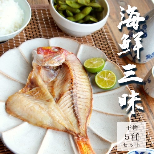 海鮮三昧　干物5種セット 【京都産・舞鶴】 海鮮 海産物 魚 魚介 シーフード 干物 干物セット 干物盛り合わせ アジみりん干 イワシ醤油漬 ニギス丸干 アジ一夜干 連子鯛一夜 みりん干し 醬油漬け 丸干し 一夜干し あじ アジ いわし 鰯 二ギス 鰺 レンコ鯛 れんこ鯛 タイ