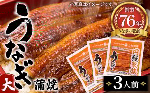 うなぎ蒲焼（大）　3人前 ／ 鰻 ウナギ 老舗 宮城県 No.104