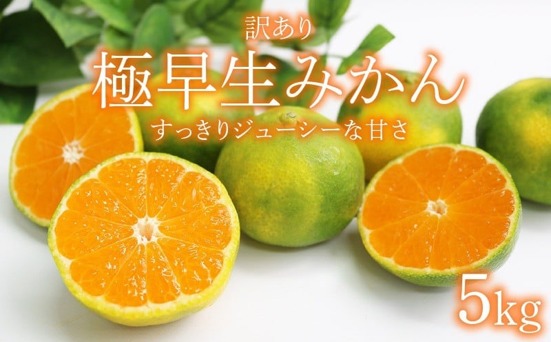 
            【先行予約】訳あり 極早生みかん 5kg |  黒潮の恵みをたっぷり浴びた さっぱり甘い 蜜柑 柑橘 果物 フルーツ 旬 産地直送 数量限定 規格外 大小混合 高知県 室戸市
          