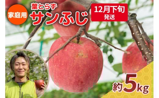 【2025年12月下旬発送】りんご 5kg 程度 葉とらず サンふじ 11月 12月 家庭用 青森産 りんご ふじ 【 サンふじりんご 葉とらずりんご リンゴジュースやお菓子作りにも くだものフルーツ果物林檎約5kg 】