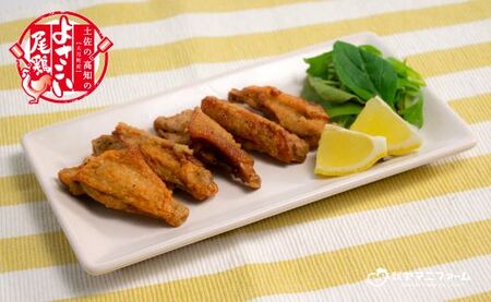 国産 よさこい尾鶏 鶏肉 チキンスペアリブ 400g ＆ 和風しょう油唐揚げ 500g 