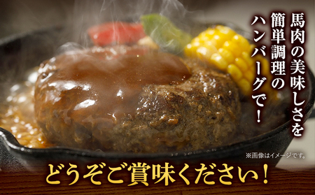 馬肉 ハンバーグ 150g × 10個 桜屋《30日以内に出荷予定(土日祝除く)》 熊本県 山江村 送料無料 肉 馬肉 ハンバーグ 惣菜 小分け