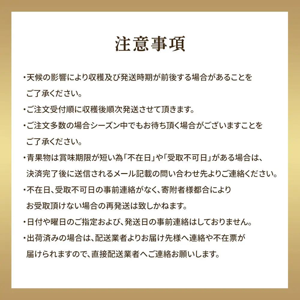 梨 王秋梨 5kg 前後（5～16玉前後）先行予約 ※2026年10月下旬～12月上旬頃に順次発送予定