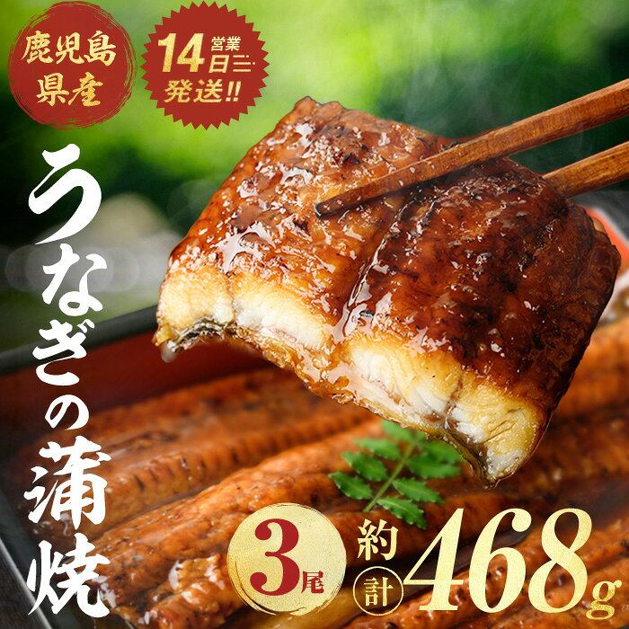 【ふるさと納税】鹿児島県産うなぎ蒲焼 (計約468g / 約156g×3尾) 鰻 ウナギ うなぎ うな重 鹿児島県産 冷凍 【株式会社薩摩川内鰻】