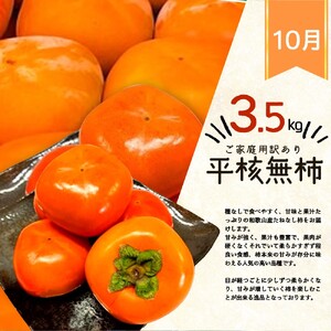 【全3回】紀州和歌山産旬のご家庭用果物定期便 (ひらたねなし柿・富有柿・みかん)【tkb379】