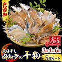 【ふるさと納税】 定期便 選べる 3～6ヶ月 おまかせ 干物 5種セット 冷凍 天日干し ひもの 穴子 太刀魚 アジ カマス サバ キス イワシ 干物 みりん干し 味醂干し 人気 おすすめ 愛知県 南知多町