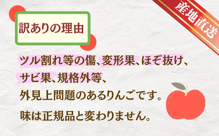 【2025年先行予約】りんご サンふじ 訳あり 約3kg｜ りんご