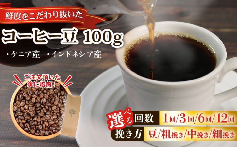 
            コーヒー 豆 100g 選べる 種類 回数 挽き方 コーヒー豆 注文焙煎 自家焙煎 ストレートコーヒー 朝食 アイスコーヒー 三陸 岩手県 大船渡市
          