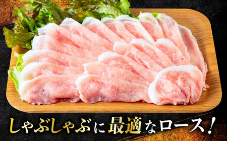 一貴山豚 ロースしゃぶ用 計500g(250g×2p) 糸島市 / いきさん牧場 豚肉 冷凍[AGB044]