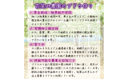 岡山　花笑み農園の『シャインマスカット』2kg(3～5房)優品　S-2優【2025年9月下旬～発送】【配送不可地域：離島】【1593497】