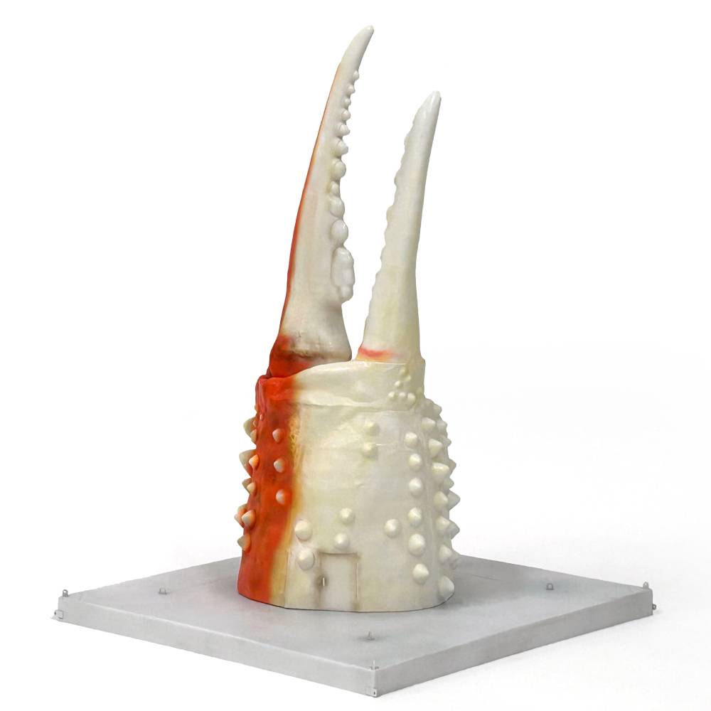 95-6 紋別 カニの爪オブジェ - 修復版, 大 -