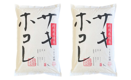 新米予約 《定期便12ヵ月》【無洗米】特別栽培米サキホコレ10kg(5kg×2)×12回 合計120kg 令和7年産 秋田県 にかほ市 お米 米 こめ