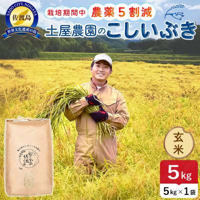 ふるさと納税 佐渡市 【新米】令和8年産 佐渡島産こしいぶき 玄米5kg 土屋農園 農家直送 栽培期間中農薬5割減