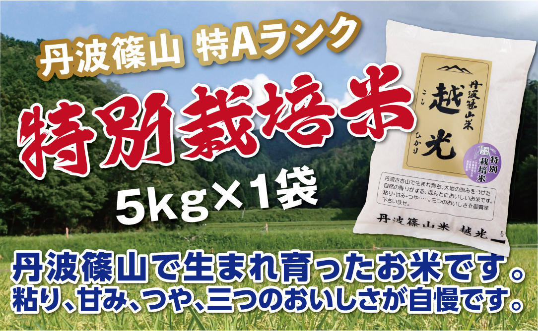
                  【特Aランク】令和7年産 丹波篠山産 特別栽培米 コシヒカリ 5kg〈食味値83点以上〉特別栽培米 減農薬栽培 精米したて 阪本屋 兵庫県 丹波篠山市 こしひかり 米 精米 白米
                