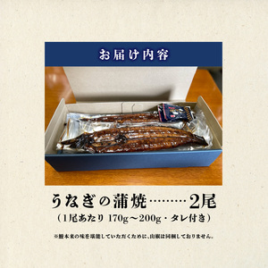 うなぎの蒲焼　２尾セット（特大サイズ　一尾　１７０g?２００g）_Cu001_うなぎ 蒲焼 2尾 セット 特大サイズ 一尾１７０g～２００g  たれ付き 鰻専門問屋 樋口商店 真空パック ギフト お取