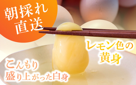 【家族に食べさせたい】平飼い 山もりたまご 30個 安心安全 おいしさに感動 たまご 卵 高級卵 平飼い 安心安全 飼料にこだわり 成長剤 ホルモン剤 添加物不使用