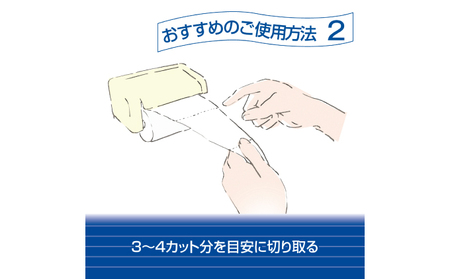 【2回お届け 計144ロール】エリエール シャワートイレのためにつくった吸水力が2倍 トイレットペーパー ダブル 25m 12R 6パック 計72ロール 防災 常備品 備蓄品 消耗品 日用品 送料無料