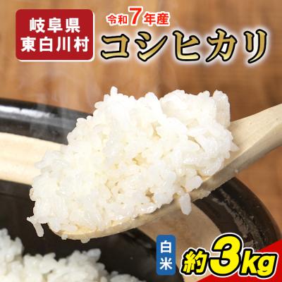 ふるさと納税 東白川村 令和7年産 コシヒカリ 精米 約3kg 米 岐阜県 東白川村産