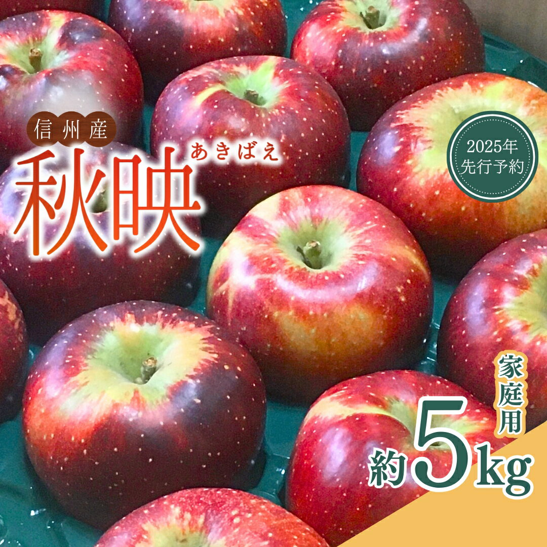 【ふるさと納税】【2025年先行予約】 太陽の恵みたっぷり りんご 秋映 家庭用 約5kg 訳あり 銀杏ファーム平林 果物 フルーツ 林檎 信州りんご 信州産 長野県産りんご あきばえ 千曲市 長野県