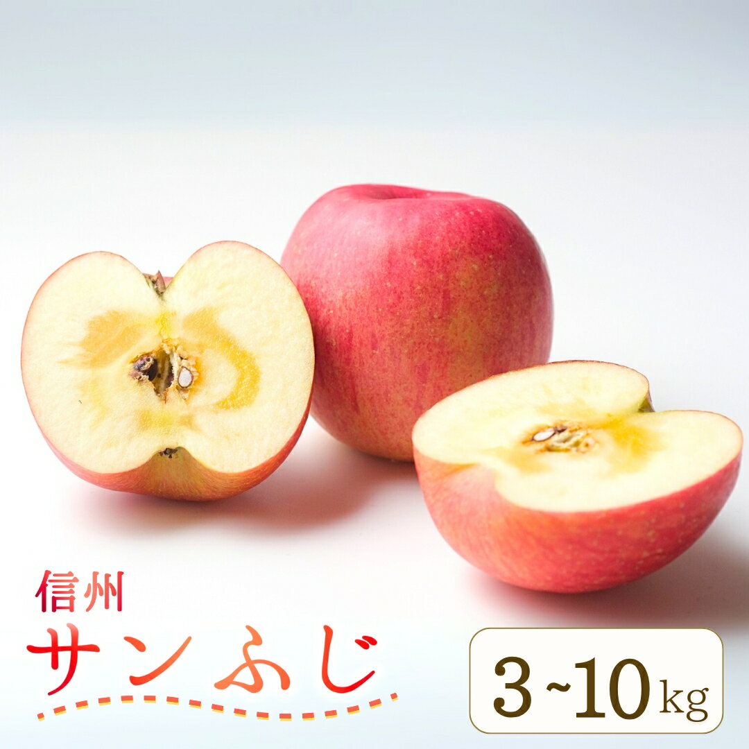 【ふるさと納税】りんご サンふじ 約3kg~10kg (6~36玉)|林檎 果物 フルーツ サン ふじ 富士 3kg 5kg 10kg 信州林檎 信州りんご 信州 長野 千曲市 送料無料
