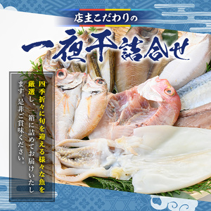 こだわりの一夜干詰合せ(4～5種類)国産 魚介 お魚 さかな 干物 干し物 白身 海の幸 旬 セット 詰合わせ 直送 冷凍 おかず おつまみ お土産 ギフト【sm-AA004】【いたくら】