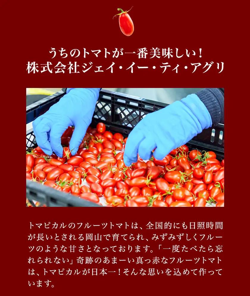 トマピカルネクター 700ml 2本 トマト ジュース