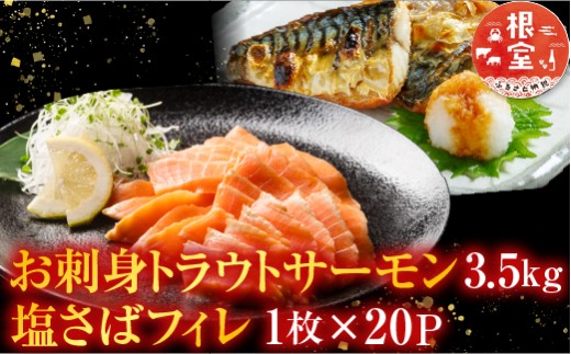 D-09020 お刺身トラウトサーモン3.5kg、塩さばフィレ1枚×20Ｐ