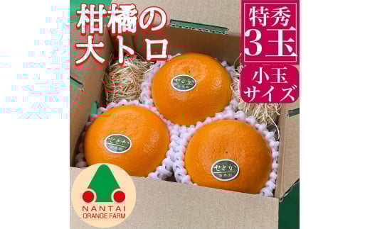 
お試し規格 柑橘の大トロ ハウス せとか 厳選 小玉 3玉入 手さげ箱 南泰園 和歌山 有田
