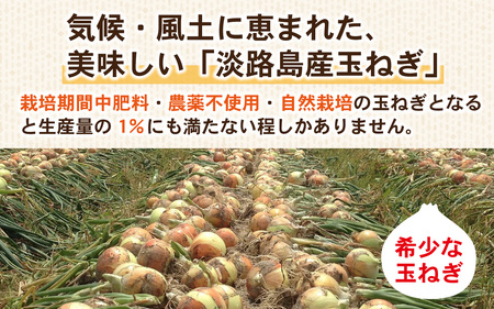 淡路島産 栽培期間中肥料・農薬不使用 自然栽培玉ねぎ 2kg ／ 玉ねぎ